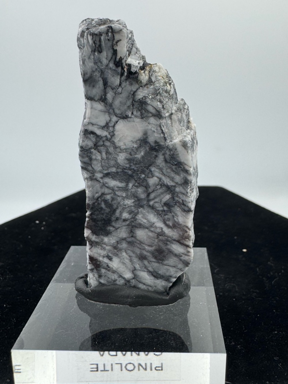 Polished Pinolite (Canada) - Picture 2 of 4